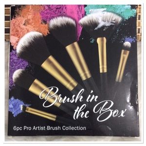 6pc Professional Brush Set